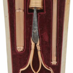 Naai necessaire in schildpad etui goud.