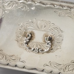 No reserve - Theelepeldoosje zilver.