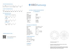 1.09 ct. HRD gecertificeerde natuurlijke diamant.