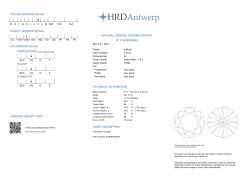 3.53 ct. HRD gecertificeerde natuurlijke diamant.