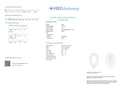 1.22 ct. HRD gecertificeerde natuurlijke diamant.