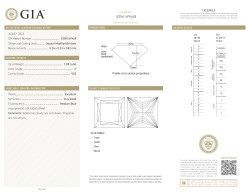 1.00 ct. GIA gecertificeerde natuurlijke diamant.