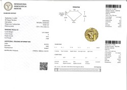 No reserve - 1.01 ct. IGI gecertificeerde natuurlijke diamant.