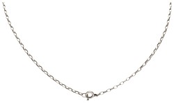 Hannu Ikonen zilveren hanger met rendiermos-motief aan collier.