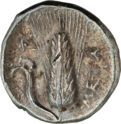 Magna Graecia. Metapontium. Lucania. Nomos. ND (350 - 340 BC). VF - XF.