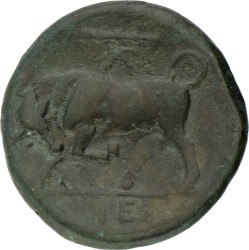Magna Graecia. Syracuse. Hieron II. Hemitron. (275 - 215 BC). VF.