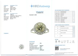 HRD-gecertificeerde platina Art Deco entourage ring bezet met ca. 3.60 ct. diamant.