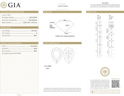 1.03ct. GIA-gecertificeerde natuurlijke diamant.