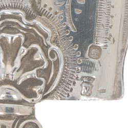 Visschep zilver.