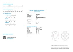 No Reserve - 1.35 ct. HRD-gecertificeerde natuurlijke diamant.