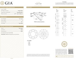 No Reserve - 1.01 ct. GIA-gecertificeerde natuurlijke diamant.