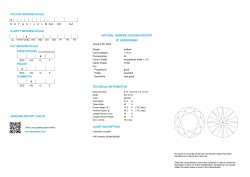 No Reserve - 1.15 HRD-gecertificeerde natuurlijke diamant.