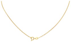 18K Bicolor gouden hanger aan collier