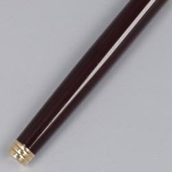 Waterman pen