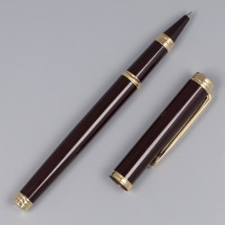 Waterman pen