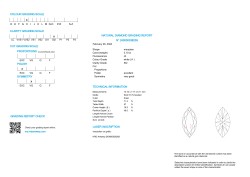 3.10 ct. HRD gecertificeerde natuurlijke diamant.