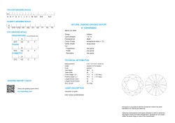 1.07 ct. HRD gecertificeerde natuurlijke diamant