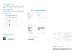 1.07 ct. HRD gecertificeerde natuurlijke diamant.