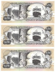 Guyana. Lot 3 Banknotes. banknote. Type 1996-2018. - UNC.