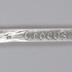 Taartschep "Crocus" Steenwijk, Bijkamp & Visser, 1931, Nederland zilver.