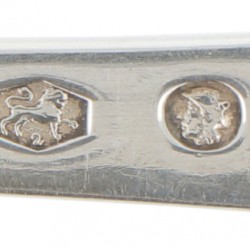 Saladetang zilver.