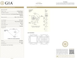 0.70 ct. GIA gecertificeerde natuurlijke Diamant.