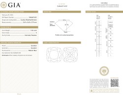 1.02 ct. GIA gecertificeerde natuurlijke diamant.