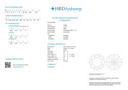 1.22 ct. HRD gecertificeerde natuurlijke diamant.