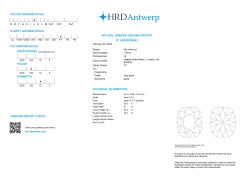 1.09 ct. HRD gecertificeerde natuurlijke diamant