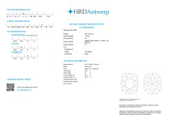 1.09 ct. HRD gecertificeerde natuurlijke diamant.