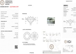 1.01 ct. IGI gecertificeerde natuurlijke diamant.