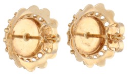 14K geelgouden oorstekers  bezet met bloedkoraal