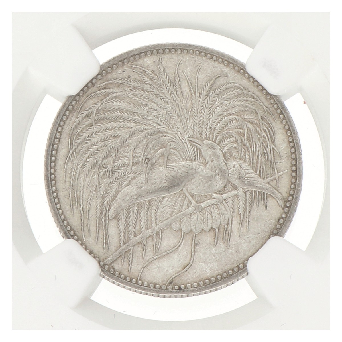 Goudwisselkantoor auction: German New Guinea. German colony. Wilhelm II. Mark. 1894 A. AU 53.