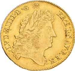 France. Kingdom. Louis XIV. Louis d'Or. 1690 L. VF +