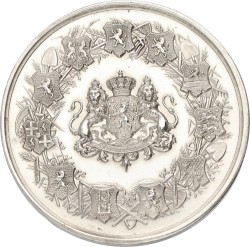 Nederland. Amsterdam. 1884. Prijspenning Internationale Landbouw tentoonstelling. XF -