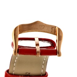 Cartier Santos Dumont Large WGSA0021/4241 - Heren horloge - 2024
