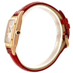 Cartier Santos Dumont Large WGSA0021/4241 - Heren horloge - 2024