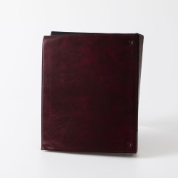 Lot (412) Album. Voornamelijk provinciaal & overzee. Average F