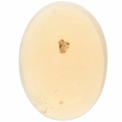 GJSPC-gecertificeerde natuurlijke opaal 6.69 ct.