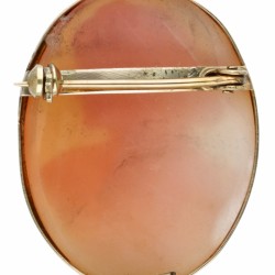 Vintage schelpcamee broche in een BWG 10 kt. geelgouden montuur.