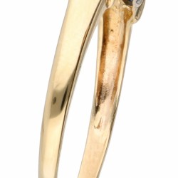 Geelgouden dubbele rijring bezet met diamant en natuurlijke saffier - 14 kt.