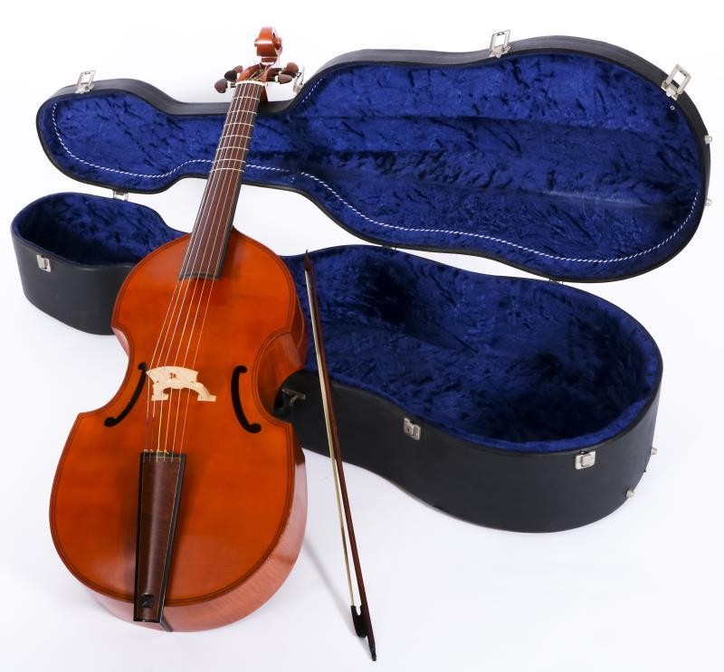 Een viola da gamba Maestro, 7-string, in koffer.