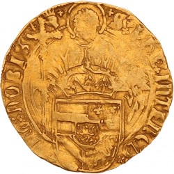 St. Filipsgulden. Brabant. Antwerpen. Fillips de Schone. Z.j. (1500 - 1506). Fraai / Zeer Fraai.