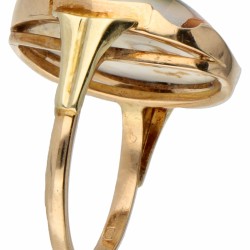 Geelgouden vintage solitair ring bezet een operculum schelp - 14 kt.