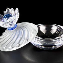 (2) delig lot Swarovski