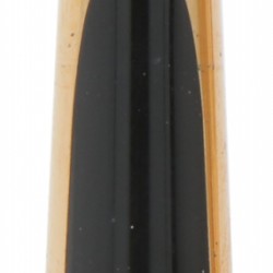 Waterman vulpen goud.