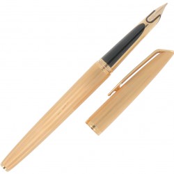 Waterman vulpen goud.