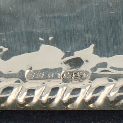 (2) Delig lot fotolijsten zilver.