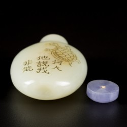 Een Hetian jade snuff bottle gedecoreerd met een schildpad, China, 19e eeuw.