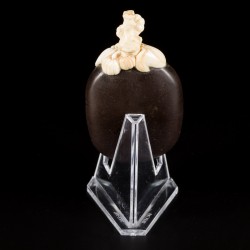 Een noten snuff bottle bezet met been, China, 19e eeuw.